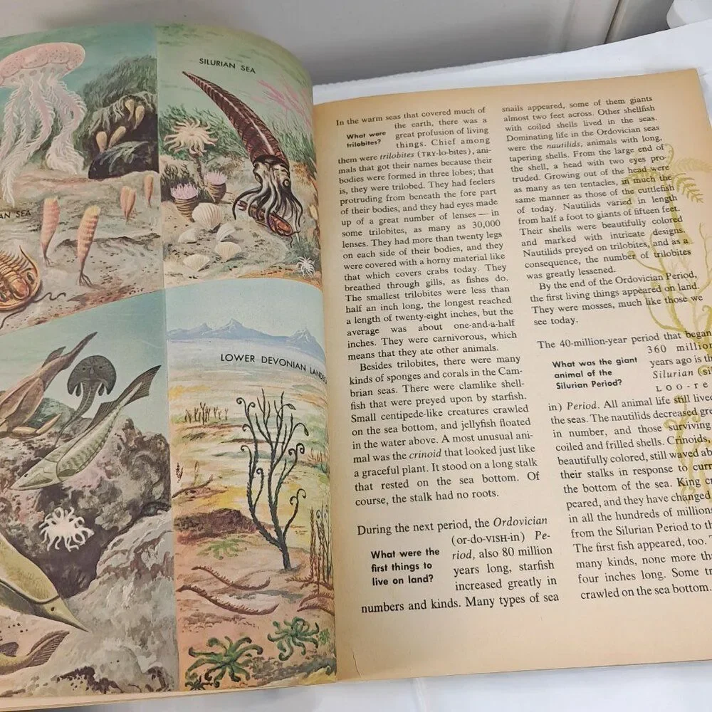 Vintage The How & Why Wonder‎ Book Of Prehistoric Mammals kids 1972 animals pics